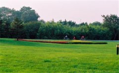 網絡化空氣監測站監測哪些參數?